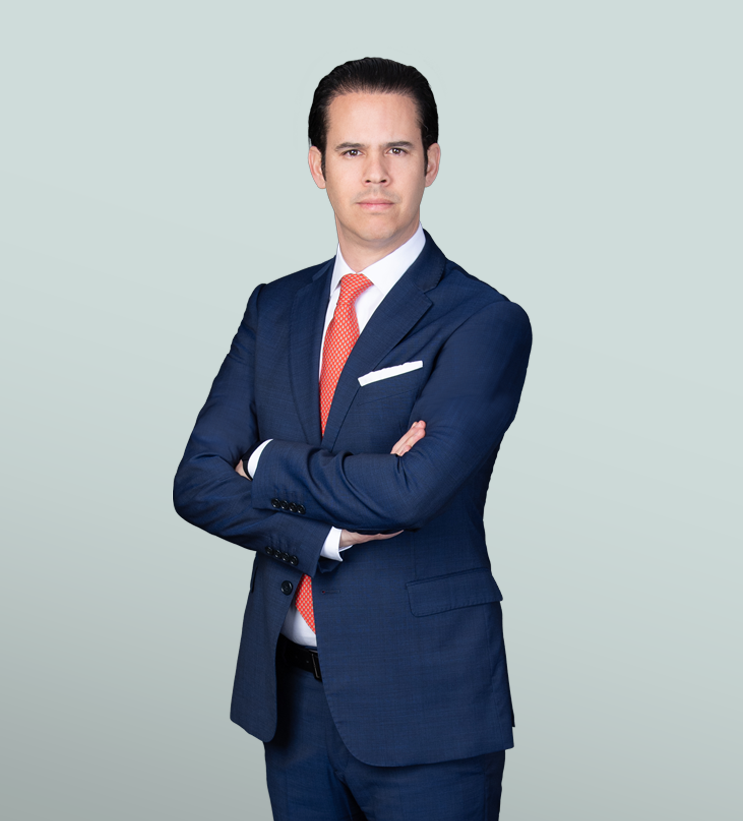 Durán de la Vega, Diego